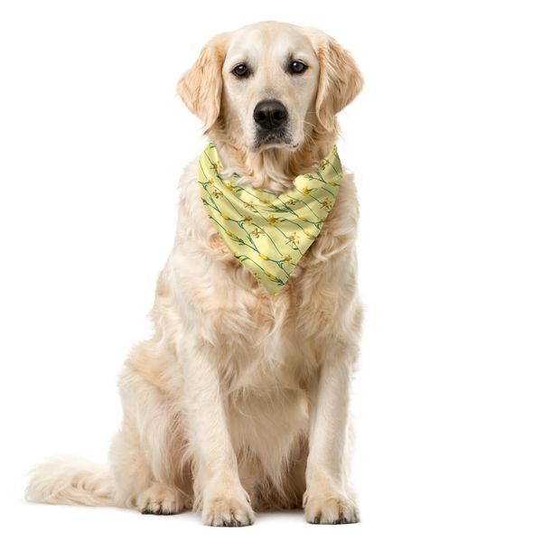 Abakuhaus Bandana Per Animali Domestici Con Fiori, Ranuncoli E Narcisi, 40X40 Cm, Verde Cacciatore E Giallo Pallido-image