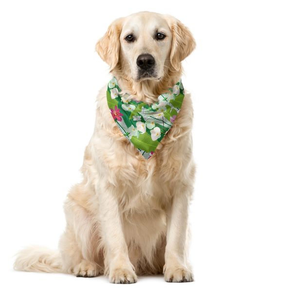 Abakuhaus Bandana Per Animali Domestici Con Fiori, Tema Aloha Esotico, 55X55 Cm, Verde Bosco Multicolore-image