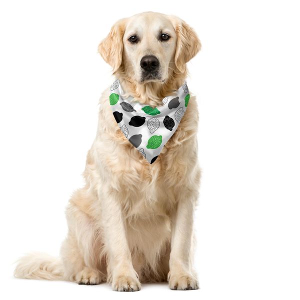 Abakuhaus Bandana Per Animali Domestici Con Motivo Scarabocchiato, Motivo Semplice A Limoni, 55X55 Cm, Bianco Verde Grigio Carbone-image