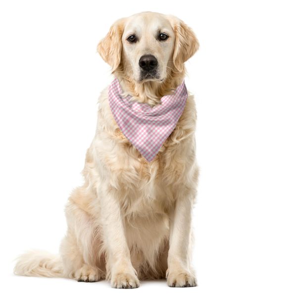 Abakuhaus Bandana Da Picnic Per Animali Domestici, Motivo Basic A Quadretti, 55X55 Cm, Rosa Confetto E Bianco-image