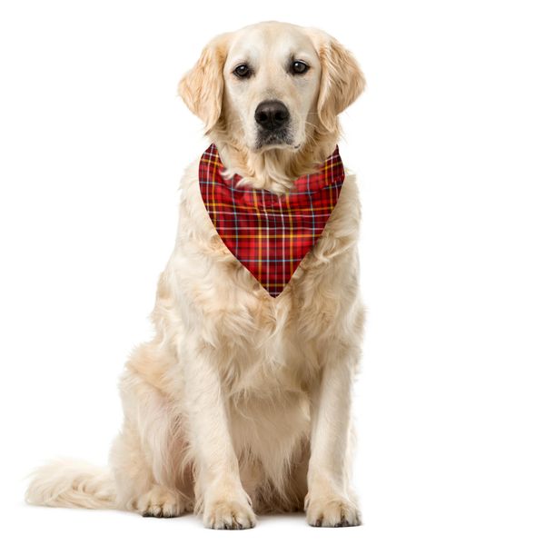 Abakuhaus Plaid Bandana Per Animali Domestici, Stile Retrò Britannico Tradizionale, 40X40 Cm, Bordeaux E Blu Cielo Intenso-image