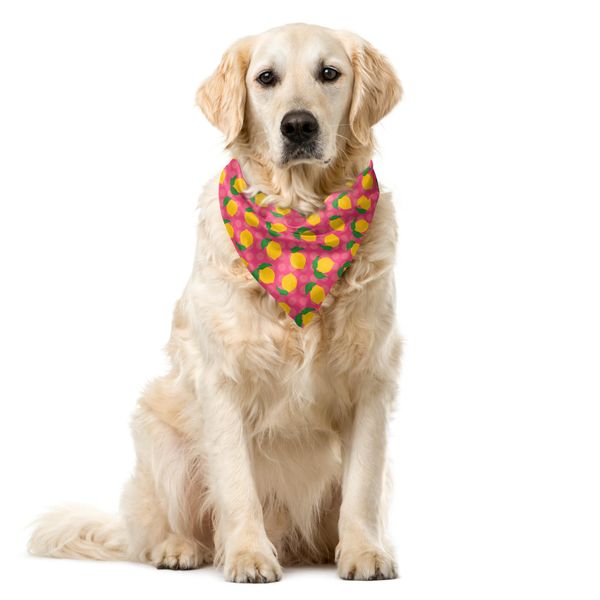 Abakuhaus Bandana Per Animali Domestici Con Motivo Limoni, Limoni Con Foglie A Pois, 55X55 Cm, Burnt Sienna Multicolor-image