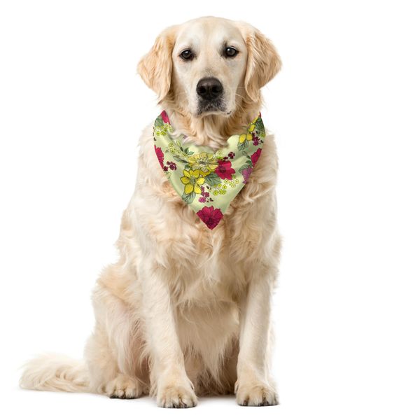 Abakuhaus Bandana Per Animali Domestici Con Fiori, Arte NaïF Natureflowers, 55X55 Cm, Verde Pastello Multicolore-image