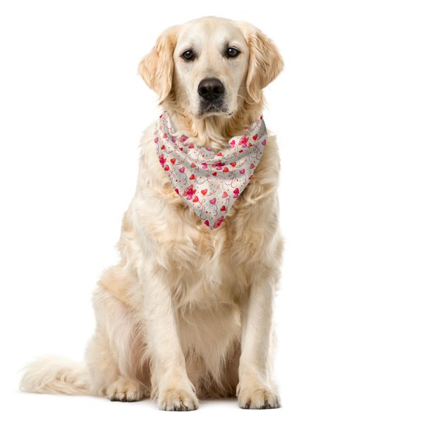 Abakuhaus Bandana Per Animali Domestici Per San Valentino, Palloncini A Forma Di Cuore, 40X40 Cm, Guscio D'uovo Vermiglio-image