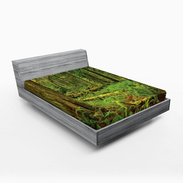 Abakuhaus Lenzuolo Con Angoli, Idilliaca Foresta Pluviale Rigogliosa Nell'isola Canadese Con Felci E Muschio Su Foto Di Alberi E Natura, 140 X 200 Cm, Verde-image