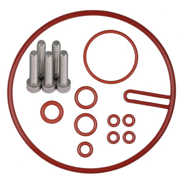Kit Di Manutenzione Delle Guarnizioni Set Di Anelli Di Tenuta Pezzo Di Ricambio Per Valvola Di Supporto Del Termoblocco Tubo Flessibile Di Pressione Adatto A Saeco Gaggia Miele Set-2-image