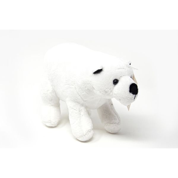 Cornelissen - Peluche - Orso Polare - 20 Cm-image
