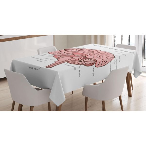 Abakuhaus Tovaglia Anatomica, Cervello Umano Educativo, Adatta Per Interni Ed Esterni Lavabile Stampa Chiara Nessuno Scolorimento, 140 X 170 Cm, Rosa Bianco E Rosa Pallido-image
