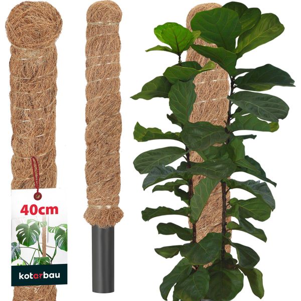 Kotarbau® Palo Per Muschio Per Monstera Noce Di Cocco Naturale ⌀ 3,2 X 40 Cm Palo Per Piante Supporto Per Piante Monstera Palo Per Piante Palo Per Piante Palo Per Muschio Monstera Supporto Per Piante Palo Per Fiori Palo Per Muschio-image