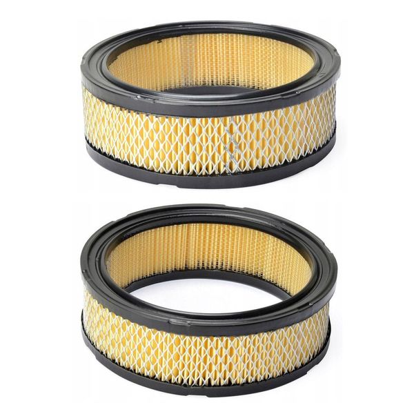 2 X Filtro Aria Briggs & Stratton 2 Cilindri Orizzontali E V-Twin Vanguard 392642-image