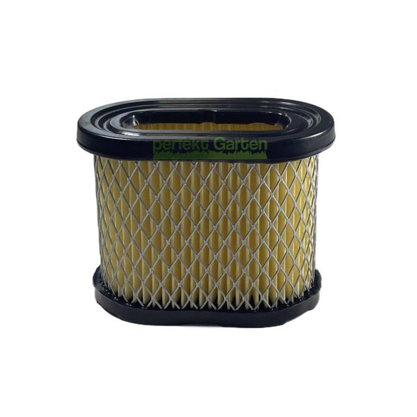 Filtro Aria Per Motore Briggs & Stratton B&S Ohv Intek Pro 5,5 6,5 Cv 498596 4224-image