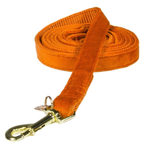 Kentucky Dogwear Guinzaglio In Velluto Per Cani 120 Cm Taglia S Arancione S-image