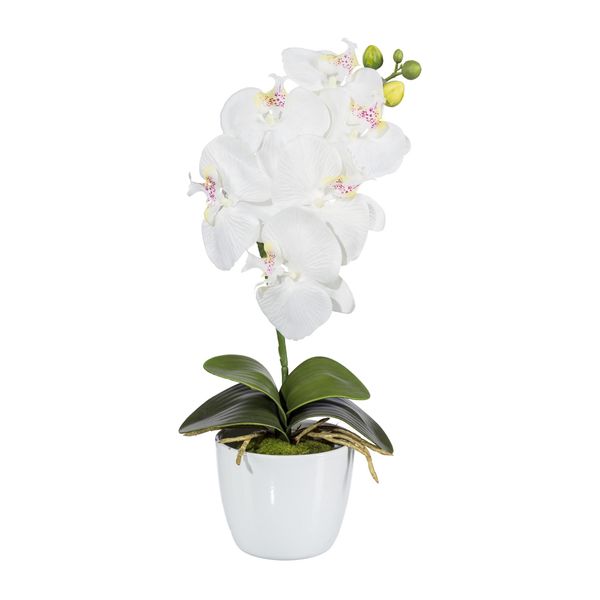 Set Di 2 Piante Artificiali Phalaenopsis 40Cm Bianche In Vaso Di Ceramica 11Cm Decorativo-image