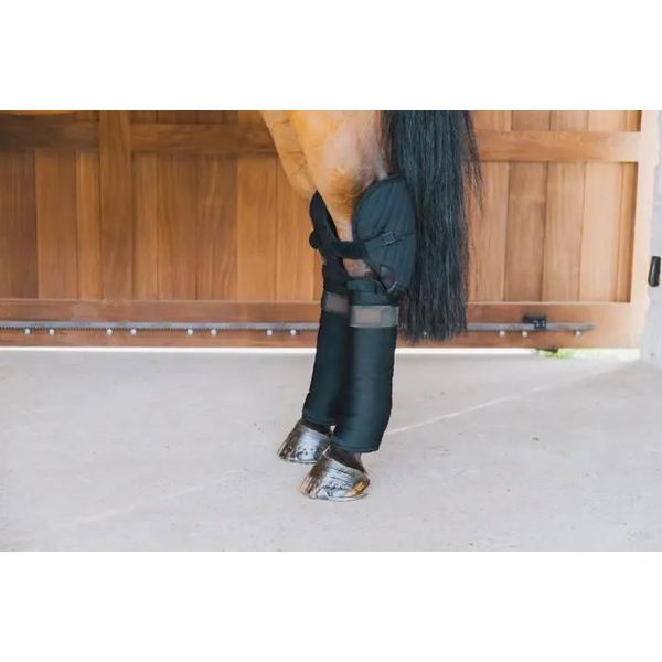 Kentucky Horsewear, Fasciature Da Trasporto E Da Scuderia Con Protezione Dei Garretti-image