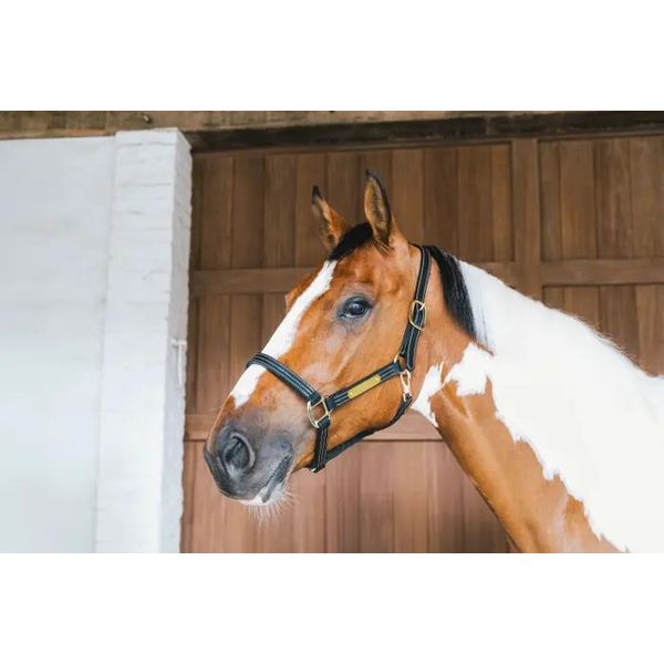 Kentucky Horsewear Cavezza In Pelle Wellington Cavezza In Pelle Nera Completa-image