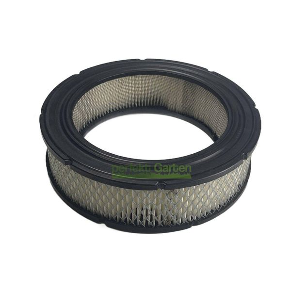 Filtro Aria Per Motore Briggs & Stratton B&S V-Twin Vanguard 2 Cilindri 21 - 23 Cv-image