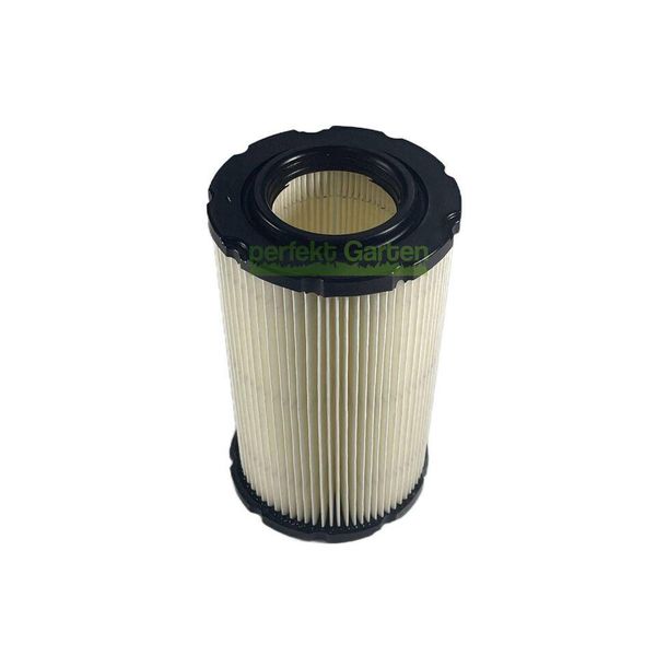 Filtro Aria Per Motore Briggs & Stratton B&S 31G700 796031 Craftsman Lt 1500 2000-image
