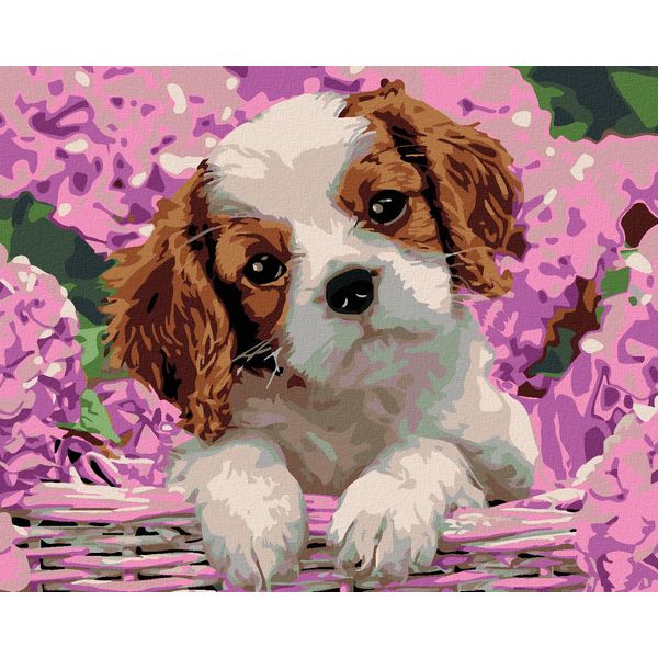 Zuty - Quadro A Diamante - Cucciolo E Orsacchiotto, 40X50 Cm, Fuori Tela Su Telaio-image