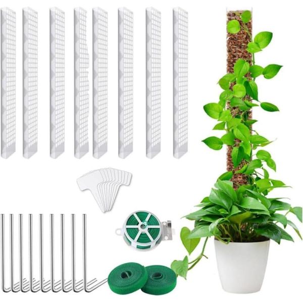 Monstera, Supporto Per Piante Rampicanti Trasparente, Bastone Per Piante Rampicanti Kit Fai Da Te 61Cm-image