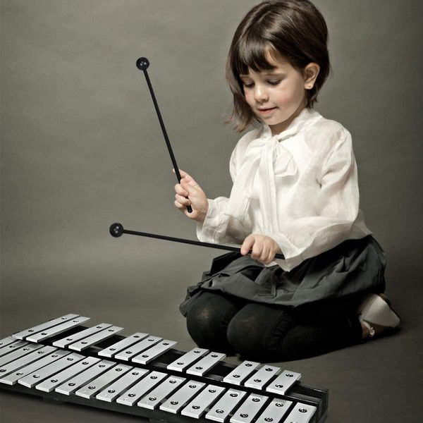 Costway 30 Note Glockenspiel Xilofono A Percussione Manuale Con Borsa Per Il Trasporto Del Mazzuolo, Percussioni Adatto A Bambini E Adulti-image