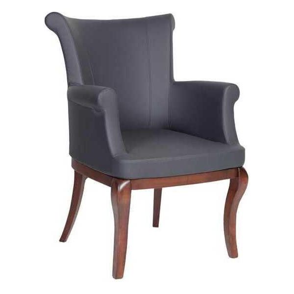 Sedia Grigia Di Design Poltrona Sedie Imbottite Poltrona Di Lusso Per La Sala Da Pranzo-image