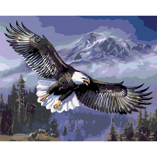 Zuty - Quadro Numerico - Flying Eagle, 40X50 Cm, Senza Telaio-image