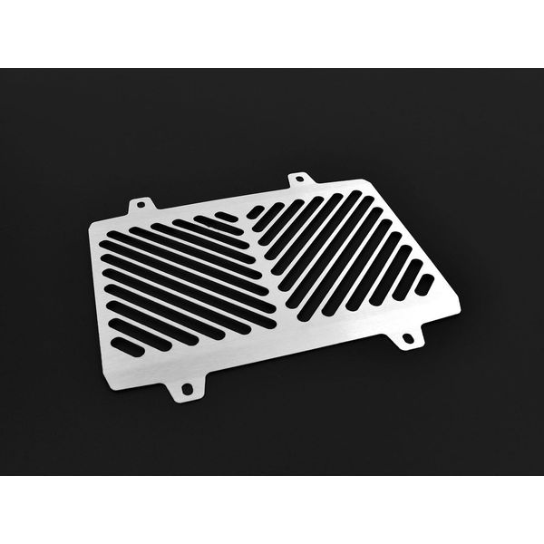 Copriradiatore Zieger Compatibile Con Bmw G 310 R Clean Argento-image