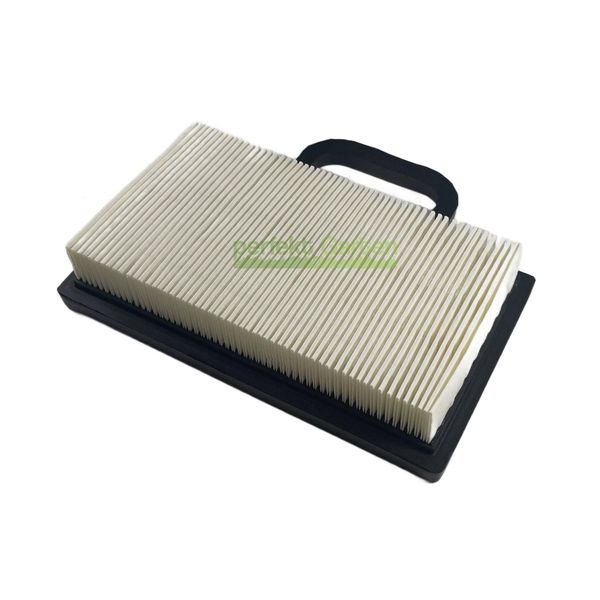 Filtro Aria Briggs & Stratton 405577 5063A 4223 Ariens 21531500 Rotary 9273 12942-image