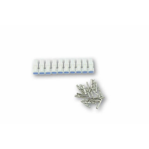 Shin Yo Mini Spina A 2 Pin (Maschio)-image