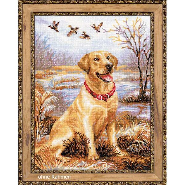 Set Di Punti Croce Riolis "Labrador"", Schema Di Conteggio"-image