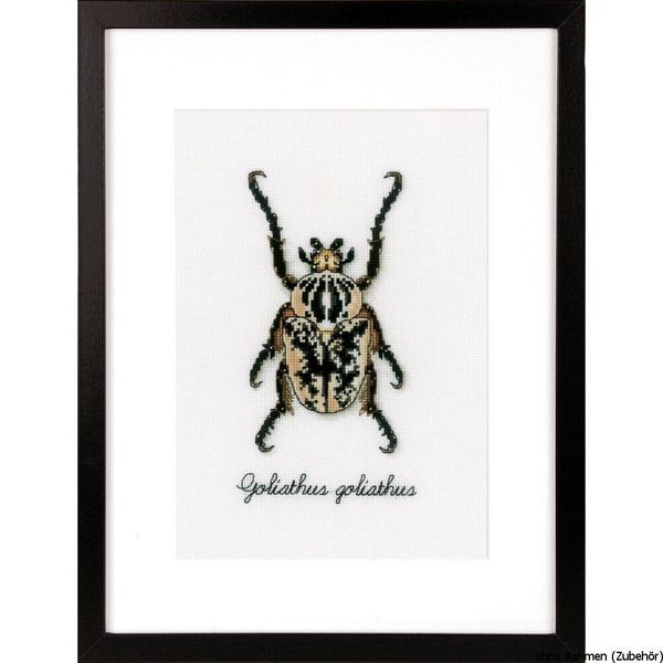 Pacchetto Ricamo Vervaco Confezione Conteggio Modello "Beige Scarabeo"-image