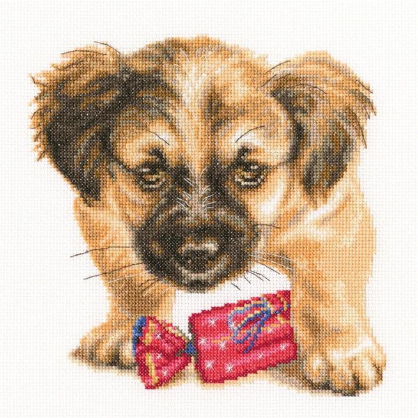 Rto Set Punto Croce "Rinfresco"" M707, Motivo Di Conteggio, 20X20 Cm"-image