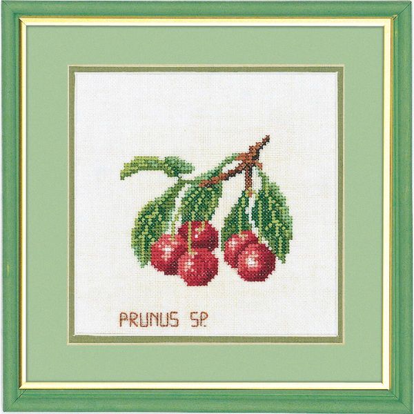 Eva Rosenstand Set Punto Croce "Ciliegie"", Schema Di Conteggio, 20X20Cm"-image