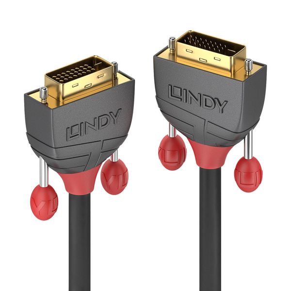 Lindy 3M DVI-D Dual Link Cable, Anthra Line-image