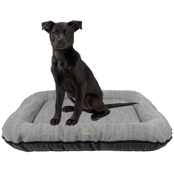 Cuccia Per Cani - Tappetino Per Cani Impermeabile E Lavabile In Codura | In & Outdoor Per Cani Di Piccola Taglia | Colore: Grigio, Misura S: 70 X 50 Cm-image