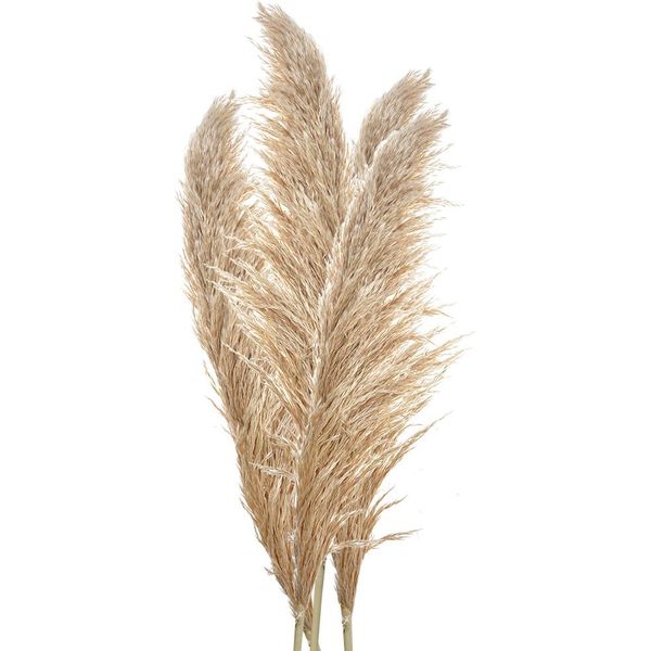 Fiori Secchi Clayre & Eef 142 Cm Beige Brown Fiori Secchi-image
