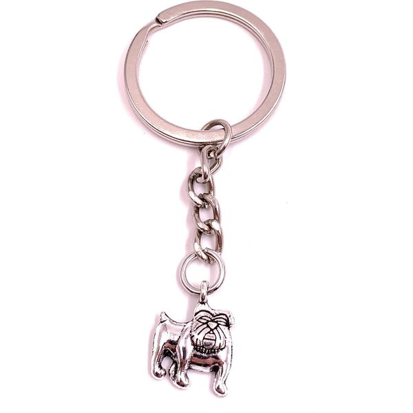 Onwomania Portachiavi Cane Boxer Baffi Pitbull Argento Metallo Ciondolo Fascino-image