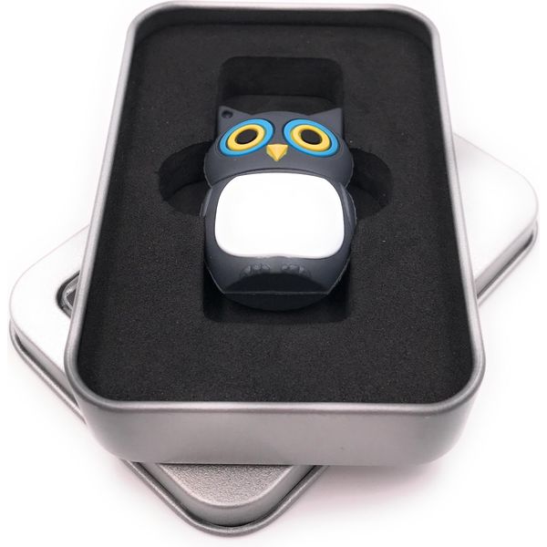 Onwomania Gufo Uccello Grigio Chiavetta Usb In Confezione Regalo In Alluminio 8 Gb Usb 2.0-image