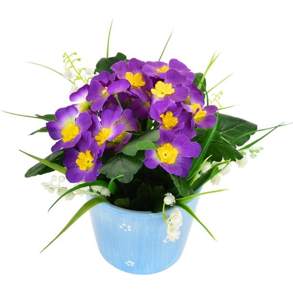 Primula Violetta In Vaso Di Ceramica 20×19 Cm-image
