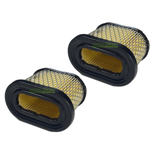 2X Filtro Aria John Deere Con Motore Briggs & Stratton B&S M147431 M143278 M143275-image