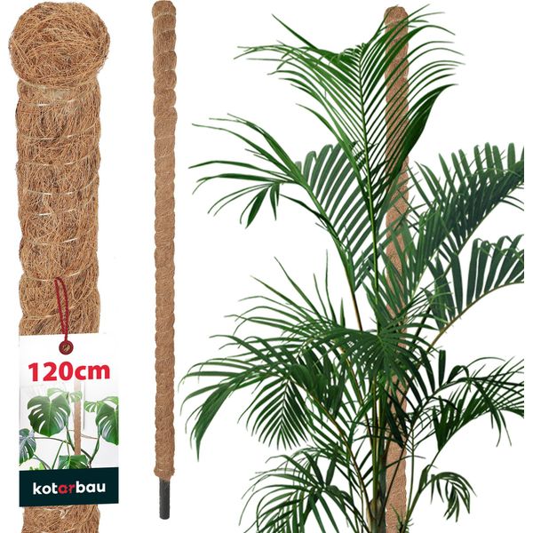 Kotarbau® Palo Di Muschio Per Monstera Noce Di Cocco Naturale ⌀ 3,2 X 120 Cm Palo Per Piante Supporto Per Piante Monstera Palo Di Cocco Palo Per Piante Palo Per Piante Palo Di Muschio Monstera Supporto Per Piante Palo Per Fiori Palo Di Muschio-image