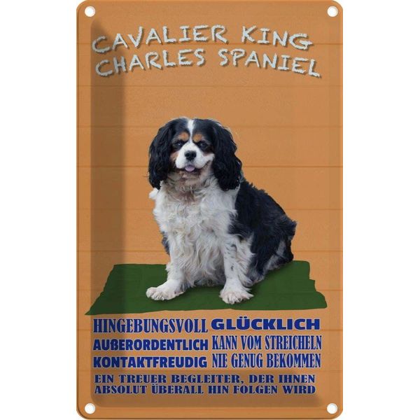 Vianmo Insegna Di Latta 18X12 Cm Cavalier King Charles Spaniel-image