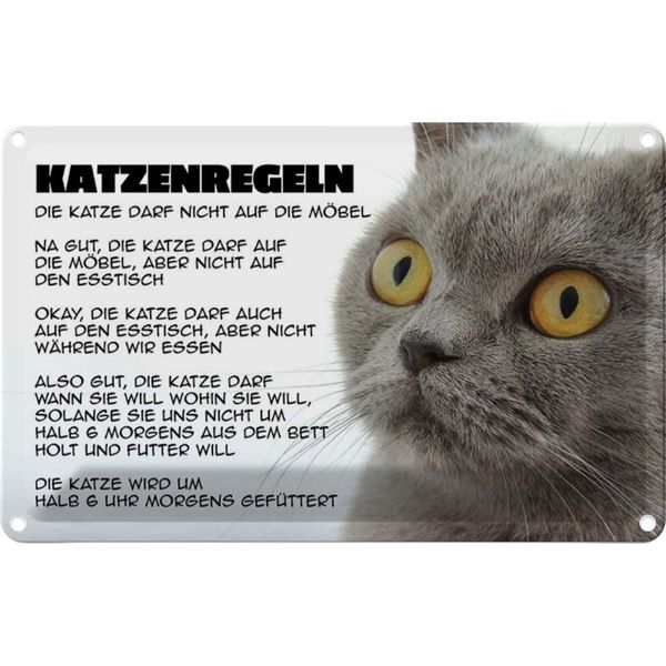 Vianmo Insegna Di Latta 20X30 Cm Katzenregeln Katze Darf Nicht-image