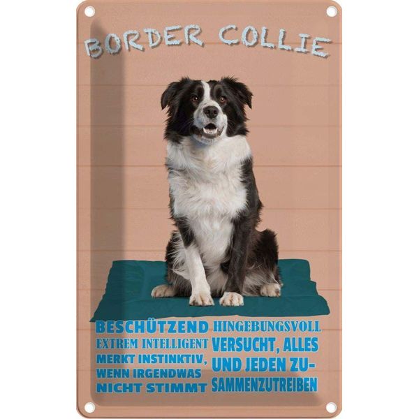 Vianmo Insegna Di Latta 18X12 Cm Border Collie Hund Intelligent-image