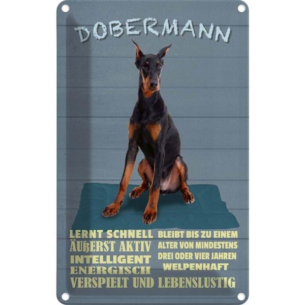 Vianmo Insegna Di Latta 30X20 Cm Dobermann Lernt Schnell Hund-image