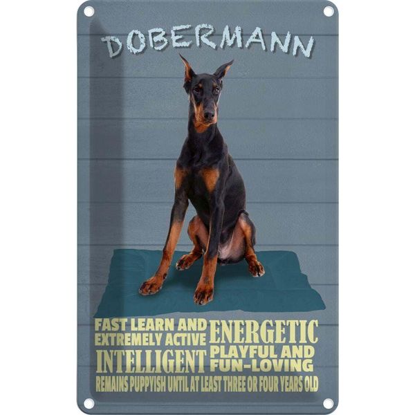 Vianmo Insegna Di Latta 30X20 Cm Dobermann Hund Fast Learn And-image