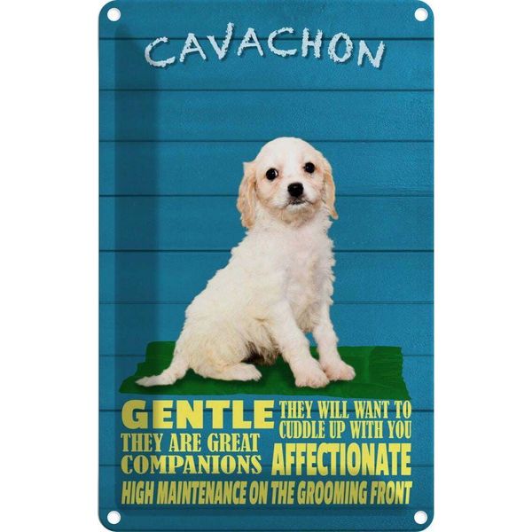 Vianmo Insegna Di Latta 30X20 Cm Cavachon Hund Gentle Affectionat-image