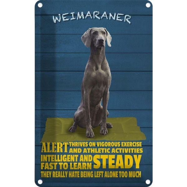 Vianmo Insegna Di Latta 18X12 Cm Weimaraner Hund Alert And Steady-image