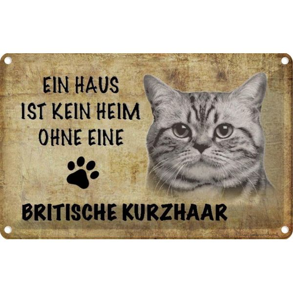 Vianmo Insegna Di Latta 12X18 Cm Britische Kurzhaar Katze-image