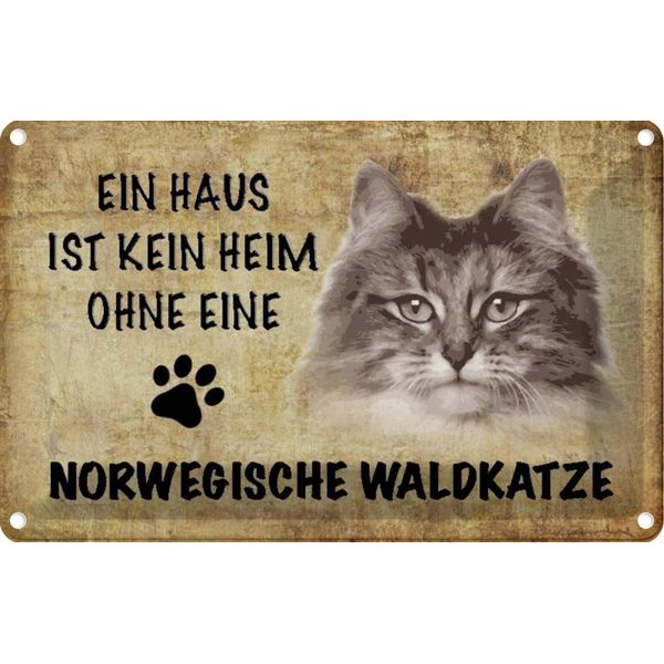 Vianmo Insegna Di Latta 20X30 Cm Norvegische Waldkatze Katze-image